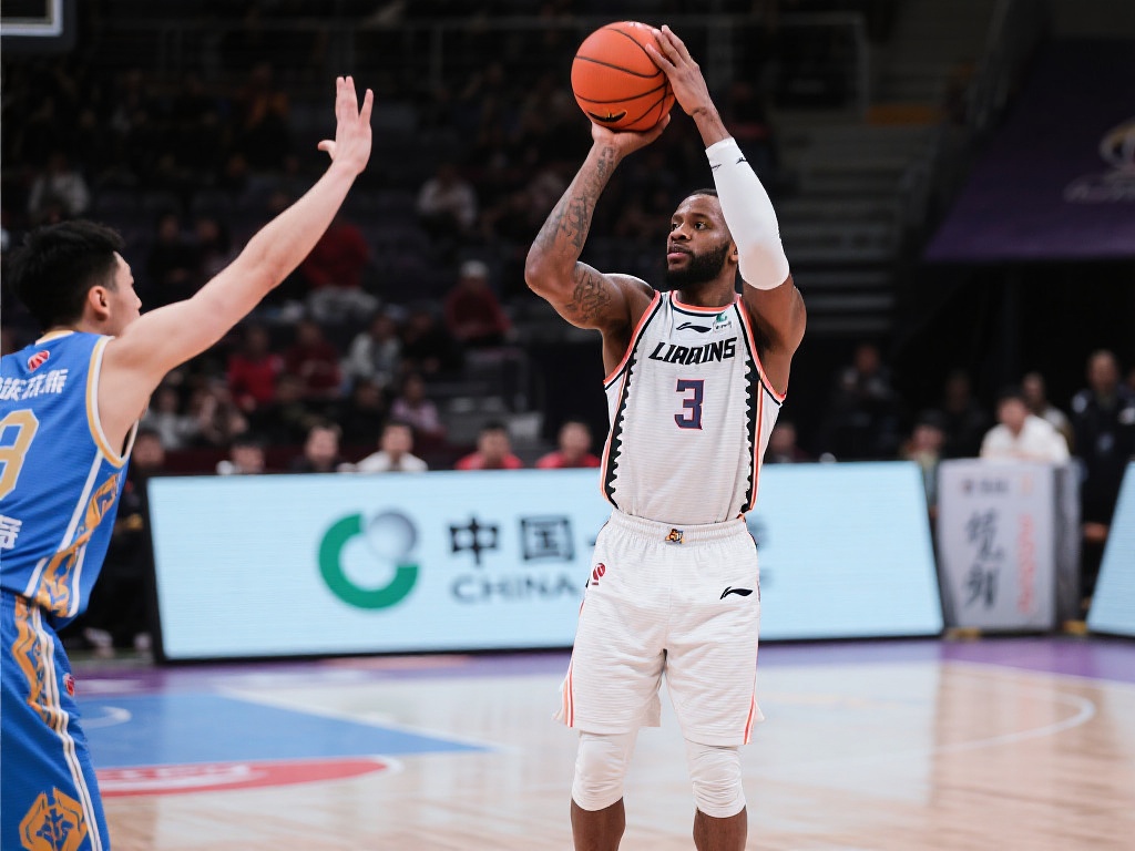 轻裁判和新 轻裁判和新